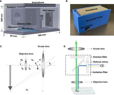 Smartphone-microfluidic fluorescence imaging system for studying islet physiology